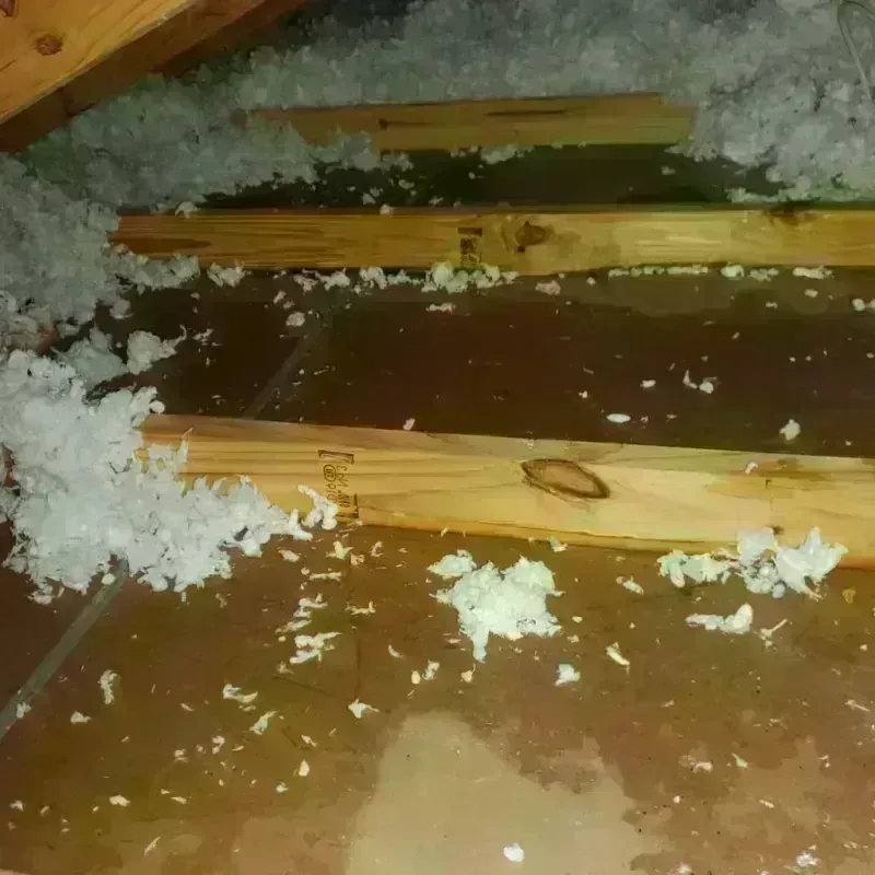 Attic Water Damage in Loving, NM