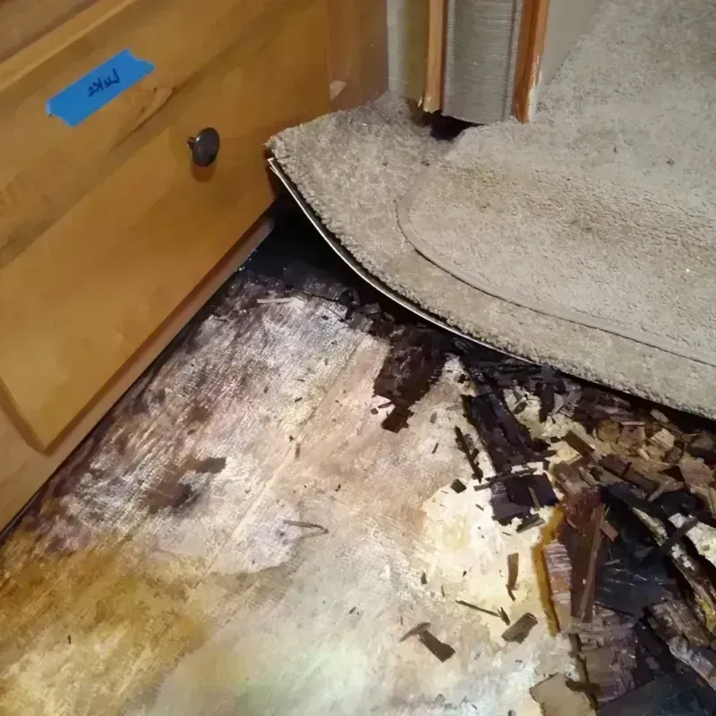 Wood Floor Water Damage in Loving, NM